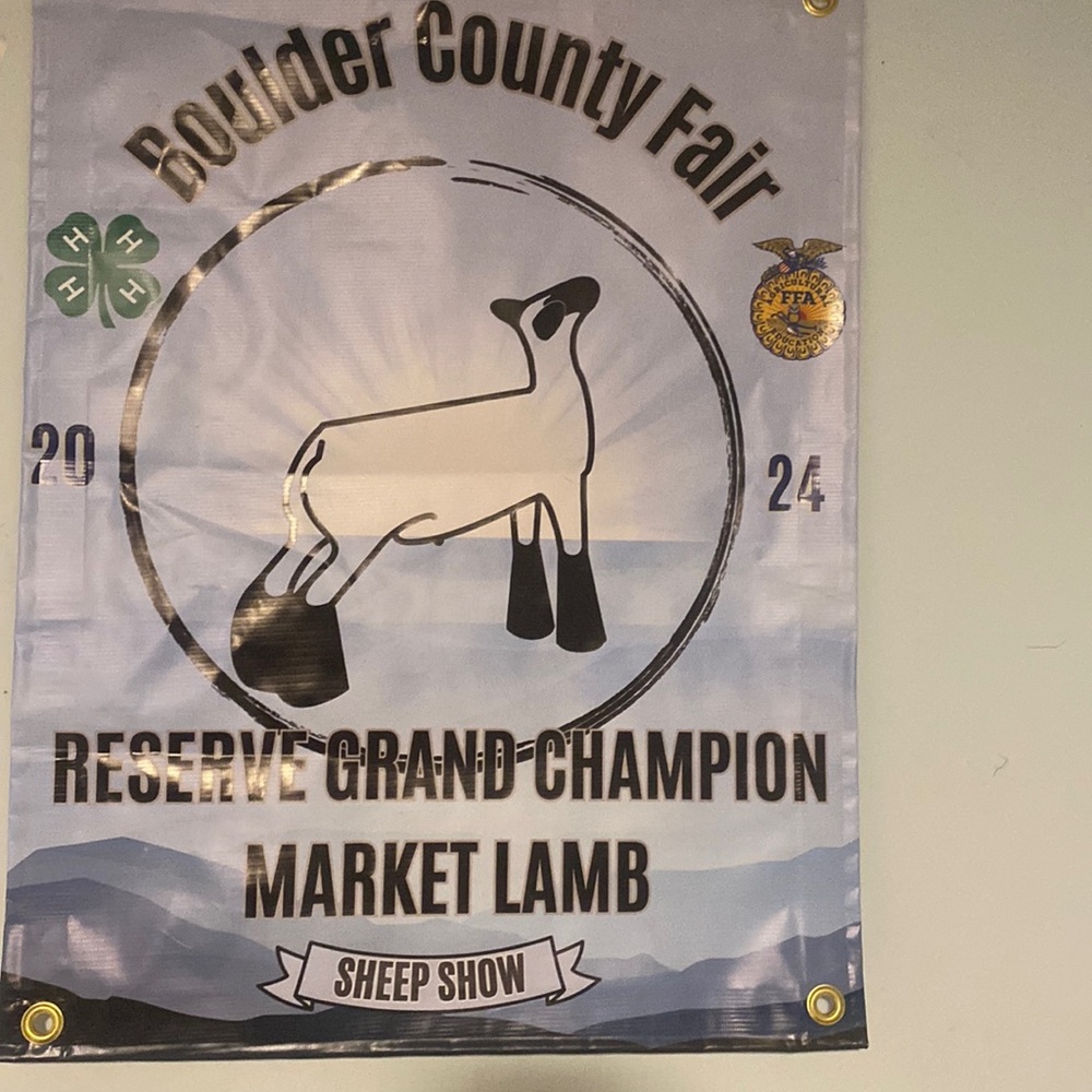So proud of these animals for this
